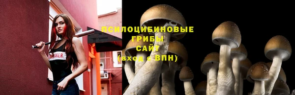 молекула духа Алексеевка