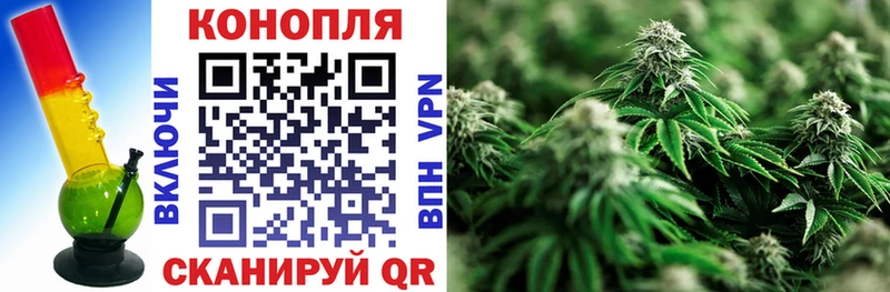 Конопля план  Заполярный 